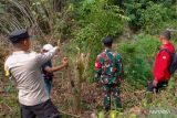 Tim gabungan patroli cegah kebakaran hutan di Bintan