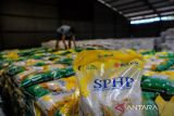 Buruh pikul membawa beras SPHP di Gudang Bulog Utama, Cimahi, Jawa Barat, Selasa (7/5/2024). Kepala Badan Pangan Nasional (Bapanas) Arief Prasetyo Adi mengatakan, naiknya Harga Eceran Tertinggi (HET) beras Stabilisasi Pasokan dan Harga Pangan (SPHP) dari harga Rp10.500 menjadi Rp12.500 per kilogram tersebut demi menjaga keberlangsungan petani tanah air. ANTARA FOTO/Raisan Al Farisi/agr