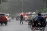 Sejumlah kendaraan dan pejalan kaki menembus hujan di Pontianak, Kalimantan Barat, Rabu (8/5/2024). BMKG Kalbar memprakirakan selama tiga hari ke depan potensi hujan berintensitas ringan hingga lebat yang disertai petir/kilat dan angin kencang berdurasi singkat terjadi di sebagian besar wilayah Kalimantan Barat. ANTARA FOTO/Jessica Wuysang
