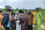 Riau bangun rumah sakit otak