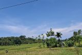 Pemprov Lampung latih petani bikin pupuk organik