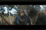 'Kingdom of the Planet of the Apes' raup pendapatan 56 juta dolar AS