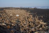 Potongan kayu berserakan di Pantai Bambang di Lumajang, Jawa Timur, Minggu (12/5/2024). Menurut warga setempat, sudah tiga pekan terakhir sampah yang terbawa banjir lahar hujan Gunung Semeru tersebut menumpuk di pesisir pantai itu.  Antara Jatim/Irfan Sumanjaya/um