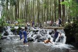 Sejumlah pengunjung bermain air di aliran sungai di Wisata Kali Pinusan Poncosumo, Lumajang, Jawa Timur, Minggu (12/5/2024). Wisata alam yang bekerja sama dengan Perhutani, Lembaga Masyarakat Desa Hutan (LMDH), dan BUMDes tersebut dikelola oleh kelompok warga dengan harapan dapat meningkatkan ekonomi masyarakat di wilayah itu. Antara Jatim/Irfan Sumanjaya/mas.