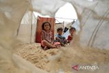 UNRWA: Sedikitnya 200 orang terbunuh dalam serangan terbaru di Rafah