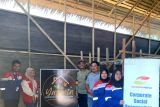 Elnusa Petrofin bersama kelompok usaha Yasmin kembangkan Budidaya Jamur Tiram Di Tapanuli Tengah