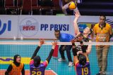 Pevoli putri Jakarta Popsivo Polwan Madison Kingdon Rishel (kanan) melakukan smes ke arah pevoli Jakarta Electric PLN Putri Andya Agustina (kedua kiri) dan Tisya Amallya Putri (kedua kanan) dalam pertandingan PLN Mobile Proliga 2024 putaran pertama minggu keempat di GOR Tri Dharma, Gresik, Jawa Timur, Kamis (16/5/2024). Jakarta Popsivo Polwan menang atas Jakarta Electric PLN dengan skor 3-1 (25-23, 25-21, 25-19, dan 25-14). Antara Jatim/Rizal Hanafi/um 