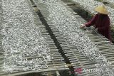 Pekerja menjemur ikan di Pamipiran, Sangrawayang, Simpenan, Kabupaten Sukabumi, Jawa Barat, Kamis (16/5/2024). Kementerian Kelautan dan Perikanan menargetkan nilai ekspor hasil perikanan pada 2024 sebesar 7,20 miliar dolar AS atau setara Rp112,1 triliun. ANTARA FOTO/Henry Purba/agr