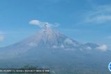 Gunung Semeru lima kali erupsi, tinggi letusan capai 900 meter