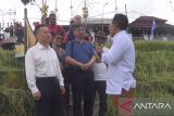 Menteri Sumber Daya Air China kunjungi Daerah Tujuan Wisata Jatiluwih Bali rangkaian WWF