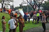 Tim SAR evakuasi pesawat PK-IFP yang jatuh di Tangerang Selatan