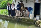 Balai Karantina Sumsel  cek penyakit ikan tahap I di Lubuk Linggau