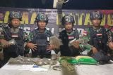 Satgas Yonif 122/TS  temukan 1,5 kilogram ganja di Waris