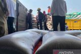 Bulog optimistis serap 600 ribu ton beras petani di Mei