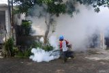 Petugas melakukan pengasapan (fogging) nyamuk Aedes aegypti di Kelurahan Tegalbesar, Kaliwates, Jember, Jawa Timur, Rabu (22/5/2024). Dinas Kesehatan Kabupaten Jember mencatat periode Januari-April 2024, jumlah kasus demam berdarah dengue (DBD) mencapai 1.109 kasus. Antara Jatim/Seno/um