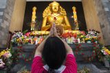 Umat Buddha mengikuti prosesi upacara perayaan Hari Raya Trisuci Waisak di Wihara Buddhayana Dharmawira Centre, Surabaya, Jawa Timur, Kamis (23/5/2024). Kegiatan itu mengangkat tema Keharmonisan Merupakan Pedoman Hidup Berdampingan Dalam Berbangsa. Antara Jatim/Didik Suhartono/um 