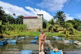 Pemkab Pasaman Barat terus kampanyekan gemar makan ikan