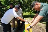 Program Air Bersih PLN dukung tata kelola air berkelanjutan, manfaat dirasakan warga di berbagai daerah