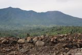 Bukittinggi diguncang tiga kali gempa tektonik di waktu berdekatan