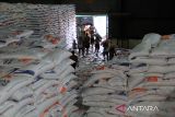 Sejumlah pekerja memikul karung berisi beras di Gudang Bulog, Medan, Sumatera Utara, Selasa (28/5/2024). Perum Bulog Kantor Wilayah Sumatera Utara menerima beras impor dari Thailand sebanyak 10 ribu ton dan Pakistan 10 ribu ton.ANTARA FOTO/Yudi Manar