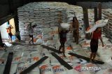 Sejumlah pekerja memikul karung berisi beras di Gudang Bulog, Medan, Sumatera Utara, Selasa (28/5/2024). Perum Bulog Kantor Wilayah Sumatera Utara menerima beras impor dari Thailand sebanyak 10 ribu ton dan Pakistan 10 ribu ton.ANTARA FOTO/Yudi Manar