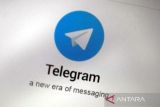 Telegram respons penghapusan judi daring di Indonesia