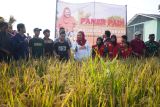 Pemkot Semarang kembangkan Balai Benih Pertanian jadi agrowisata