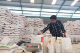 Stok beras di Sulteng hadapi Idul Adha capai 24 ribu ton