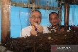 Pemkab Sukabumi mengembangkan budidaya jamur merang