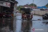 Warga menerobos banjir rob atau air laut pasang di Desa Karangsong, Indramayu, Jawa Barat, Sabtu (1/6/2024). Banjir rob tersebut mengakibatkan puluhan rumah warga di pesisir pantai terendam setinggi 60-90 centimeter dan membuat aktivitas warga terhambat. ANTARA FOTO/Dedhez Anggara/agr
