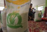 Warga mengambil bantuan pangan cadangan beras di Balai Desa Entalsewu, Buduran, Sidoarjo, Jawa Timur, Senin (3/6/2024). Sebanyak 92.127 warga Sidoarjo yang terdaftar sebagai Keluarga Penerima Manfaat (KPM) menerima bantuan pangan beras 10 kilogram dari cadangan beras pemerintah (CBP). Antara Jatim/Umarul Faruq/mas
