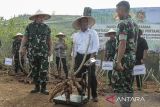 Menteri Pertanian Andi Amran Sulaiman (tengah) bersama Kepala Staf TNI Angkatan Darat (KSAD) Jenderal TNI Maruli Simanjuntak (kedua kiri) memanen singkong di lahan ketahanan pangan Kostrad, Neglasari, Ciemas, Kabupaten Sukabumi, Jawa Barat, Selasa (4/6/2024). Menteri Pertanian dan KSAD memanen jagung dan singkong di atas lahan seluas sekitar 700 hektare sebagai upaya meningkatkan produksi pertanian guna mewujudkan program ketahanan pangan di Indonesia. ANTARA FOTO/Henry Purba/agr