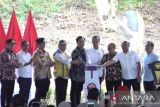 Jokowi meresmikan pembangunan universitas pertama di IKN