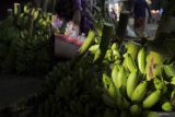 Warga melintas di sekitar pisang yang dijual di Pasar Gedang, Lumajang, Jawa Timur, Senin (3/6/2024). Kementerian Pertanian mendorong pengembangan tiga komoditas hortikultura (pisang, manggis, dan kentang) di kawasan tersebut melalui program pengembangan hortikultura pertanian di lahan kering atau Horticulture Development Dryland Area Project (HDDAP) dengan tujuan untuk meningkatkan kualitas budi daya, pengolahan hasil, serta memperluas akses pasar dan potensi ekspor di wilayah itu. Antara Jatim/Irfan Sumanjaya/mas.