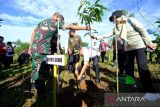 1.000 pohon ditanam pada lahan kritis di Gowa terkait Hari Lingkungan Hidup