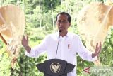 Presiden Jokowi yakin kualitas udara di IKN lebih baik dari Melbourne dan Paris