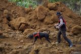 Petugas kepolisian membawa anjing pelacak saat pencarian korban yang tertimbun material longsor di Desa Pronojiwo, Kecamatan Pronojiwo, Lumajang, Jawa Timur, Rabu (5/6/2024). Polres Lumajang menurunkan satu ekor anjing pelacak K9 untuk membantu pencarian tiga korban bencana tanah longsor yang terjadi pada Selasa (4/6). Antara Jatim/Irfan Sumanjaya/mas.