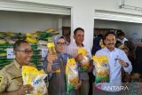 Palangka Raya perluas jangkauan Gerai TPID untuk kendalikan inflasi