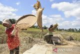 Petani membersihkan butiran gabah hasil panen di Sindangkasih, Kabupaten Ciamis, Jawa Barat, Kamis (6/5/2024). Berdasarkan data panel Harga Badan Pangan Nasional, harga gabah mengalami kenaikan pada Senin (3/6/2024) dimana harga gabah kering panen (GKP) di tingkat petani sebesar Rp5.980 dari Rp5.900 per kilogram, sedangkan harga gabah kering giling (GKG) di tingkat penggilingan dari Rp6.380 menjadi Rp6.990 per kilogram. ANTARA FOTO/Adeng Bustomi/agr