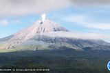 Gunung Semeru kembali erupsi disertai abu vulkanik setinggi 800 meter