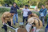 DLH Makassar lakukan penanaman 300 bibit pohon tabebuya dan ketapang