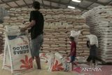 Pekerja memanggul beras dalam karung di gudang Bulog Pasirhalang, Sukaraja, Sukabumi, Jawa Barat, Senin (10/6/2024). Badan Pangan Nasional (Bapanas) mencatat stok beras Bulog saat ini mencapai 1,8 juta ton sehingga mencukupi untuk kebutuhan masyarakat menjelang Idul Adha 2024. ANTARA FOTO/Henry Purba/agr
