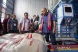 Menteri Koperasi dan UKM Teten Masduki (kanan) didampingi Kepala Badan Pangan Nasional (Bapanas) Arief Prasetyo Adi (tengah) melihat beras hasil penggilingan usai peresmian Rice Milling milik Asosiasi Bank Benih dan Teknologi Tani Indonesia (AB2TI) di desa Kalensari, Widasari, Indramayu, Jawa Barat, Selasa (11/6/2024). Menkop berharap penggilingan padi tersebut bisa memberikan kesejahteraan bagi petani setempat. ANTARA FOTO/Dedhez Anggara/agr