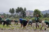 Padang datangkan 5.000 ton beras Myanmar jamin ketersediaan pangan