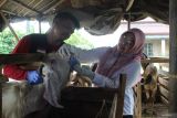 Pemkab Lampung Selatan sidak ke pedagang pastikan kesehatan hewan kurban