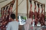 Warga berbelanja daging saat berlangsung Pasar Tani menyambut tradisi meugang Idul Adha  di Banda Aceh, Aceh, Kamis (13/6/2024).  Pasar Tani yang digelar pemerintah Aceh bekerjasama dengan, Bulog,Pertamina, pedagang dan perbankan di daerah itu  untuk pemenuhan kebutuhan bahan pangan  masyarakat dan juga elpiji subsidi  jelang tradisi Meugang Idul Adha 1445 H serta  pengendalian inflasi . ANTARA FOTO/Ampelsa.