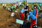 Sejumlah pejabat Pemkot dan murid SD menanam bibit pohon mangga di Kota Madiun, Jawa Timur, Jumat (14/6/2024). Pemkot Madiun menanam dan membagikan 1.106 bibit pohon produktif selain dalam rangka peringatan Hari Jadi ke-106 Kota Madiun juga memaksimalkan pemanfaatan lahan untuk ditanami pohon produktif. Antara Jatim/Siswowidodo/um 