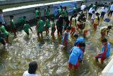 Sejumlah murid SD menangkap ikan pada kegiatan menangkap dan makan ikan bersama di Dinas Ketahanan Pangan dan Pertanian Kota Madiun Jawa Timur, Jumat (14/6/2024). Kegiatan tersebut digelar dalam rangka Gerakan Masyarakat Makan Ikan (Gemarikan) dan meningkatkan ketahanan pangan. Antara Jatim/Siswowidodo/um 