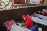 Polres Lampung Selatan laksanakan donor darah