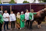 Peringati Idul Adha 1445 H, Grab dan OVO sumbang empat sapi limosin dan puluhan kambing